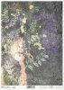  twarz kobiety, rośliny, wyka* female face, plants, vetch* weibliches Gesicht, Pflanzen, Wicke* rostro femenino, plantas, arveja